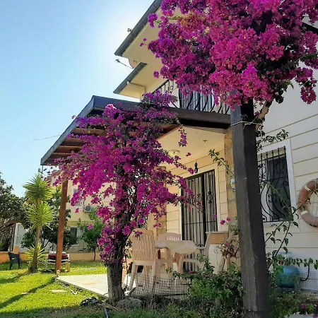 Dive Apart * Fethiye
